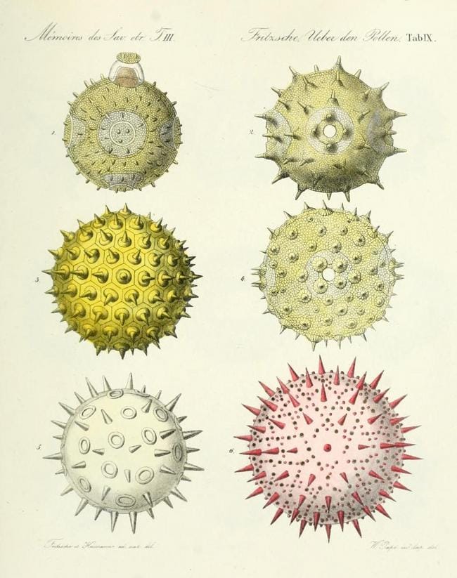 Image result of “biocomputing” query at Public Works (