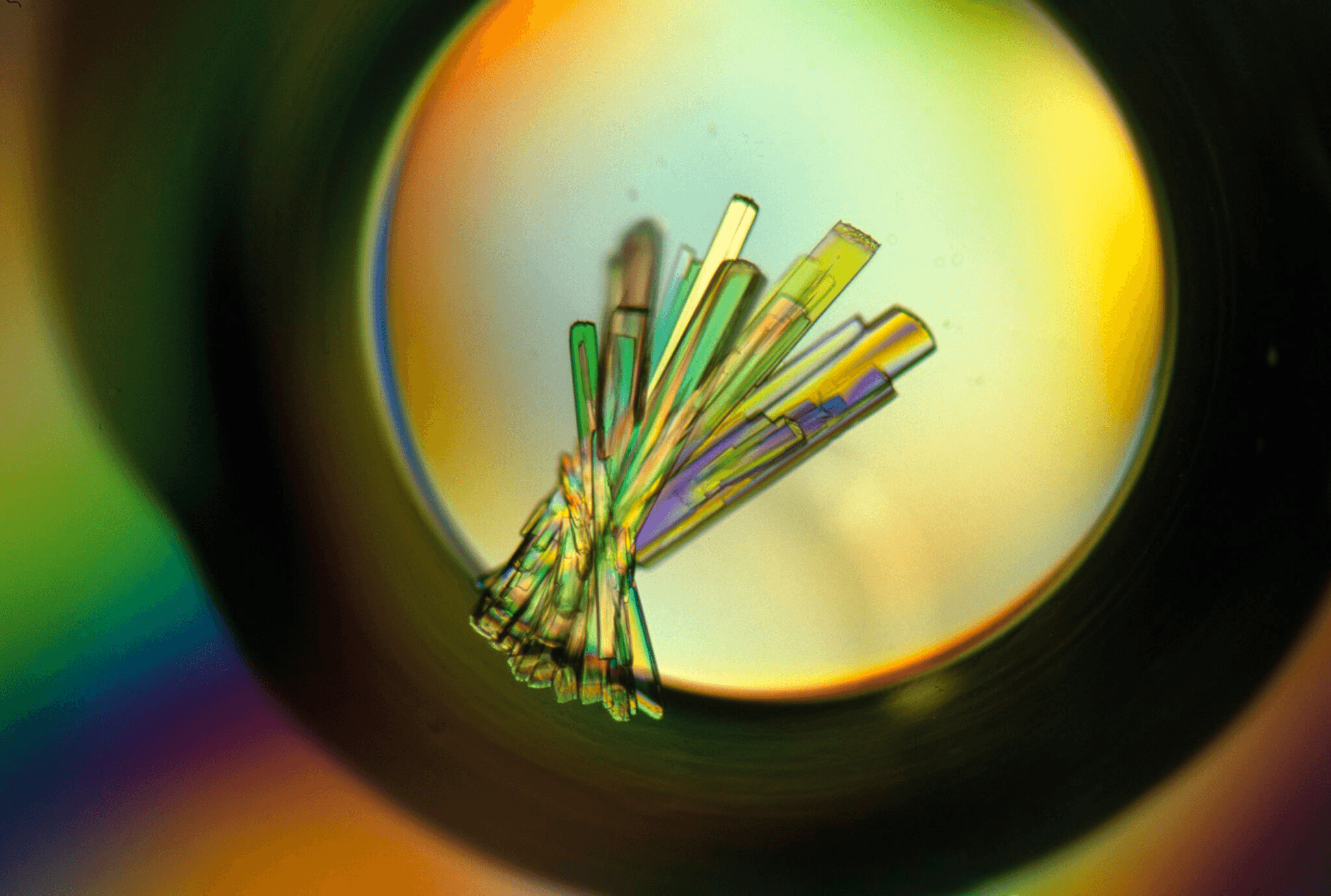 Crystals of a DNA repair protein from Serratia marscescens bound to DNA. The crystals are grown in very small drops (approximately 1 microlitre) from very pure preparations so their structure can be determined by X-ray crystallography. - Bernard O'Hara & Renos Savva